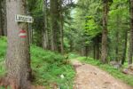 2014-07-05_Laengental-N-Hochweg (941). JPG